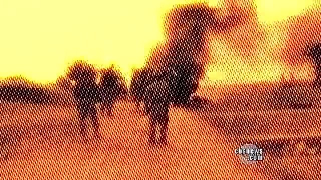 Un soldat rencontre trois chiens errants, ce que les chiens font pour lui est indescriptible!