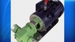 Mini-Gear Oil Pump 110v 850w 1 HP 20 gpm WCB75 WVO Fuel Transfer biodiesel