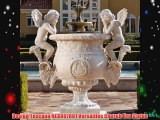 Design Toscano NE8867001 Versailles Cherub Urn Statue