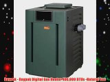 Raypak - Raypak Digital Gas Heater 406000 BTUs -Natural Gas