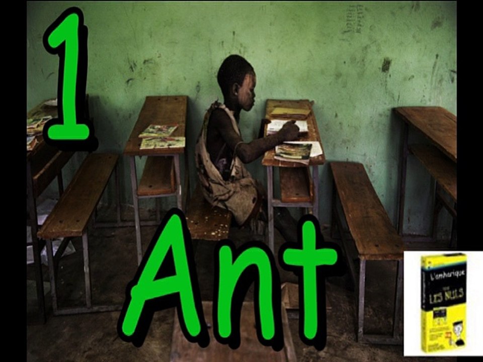 Numération