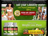 Pure Cambogia Ultra Reviews- Effective Weight Loss