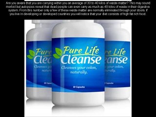 Pure Life Cleanse Review - Fast Weight Loss