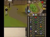 Buy Sell Accounts - Selling Runescape Account - Barrows Pure - Paypal