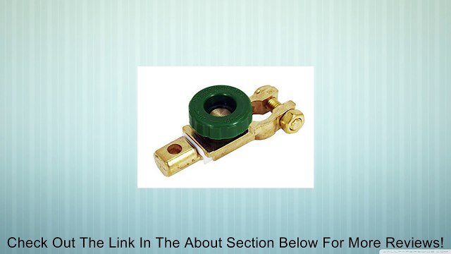 Swan Type Battery Cut-Off Switch - Ultimate Theft Deterent! Review