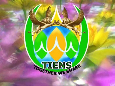 Profile of All Tiens Leaders