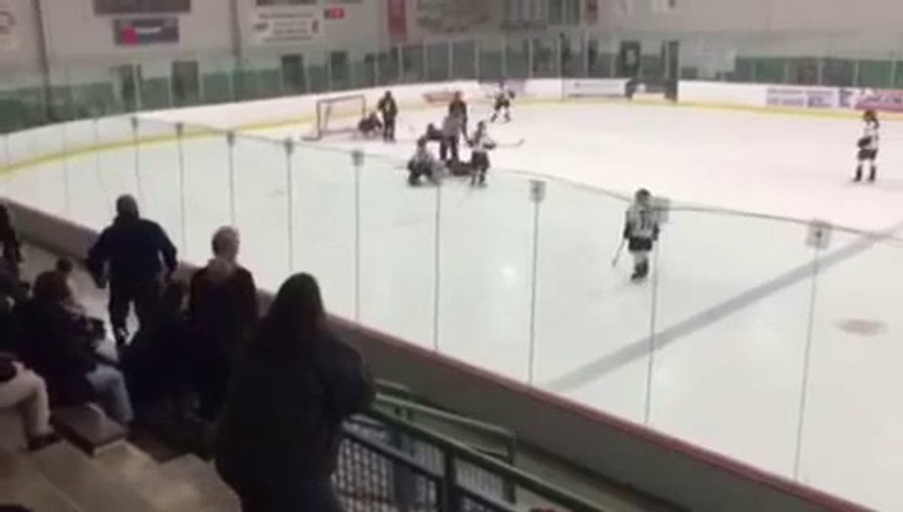 Crazy hockey Dad