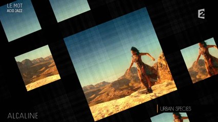 Alcaline, le Mag : D'où vient le mot Acid Jazz ?