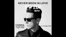 Cobra Starship Feat. Icona Pop - Never Been In Love (TW3LV Extended Remix)