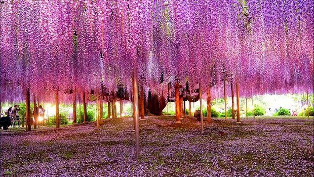 En Çok dinlenen en iyi en güzel en iyi en popüler hit pop şarkılar 2015 Ağlatan Ses Rezan Çakır - Yine Beni Severmiydin 2015