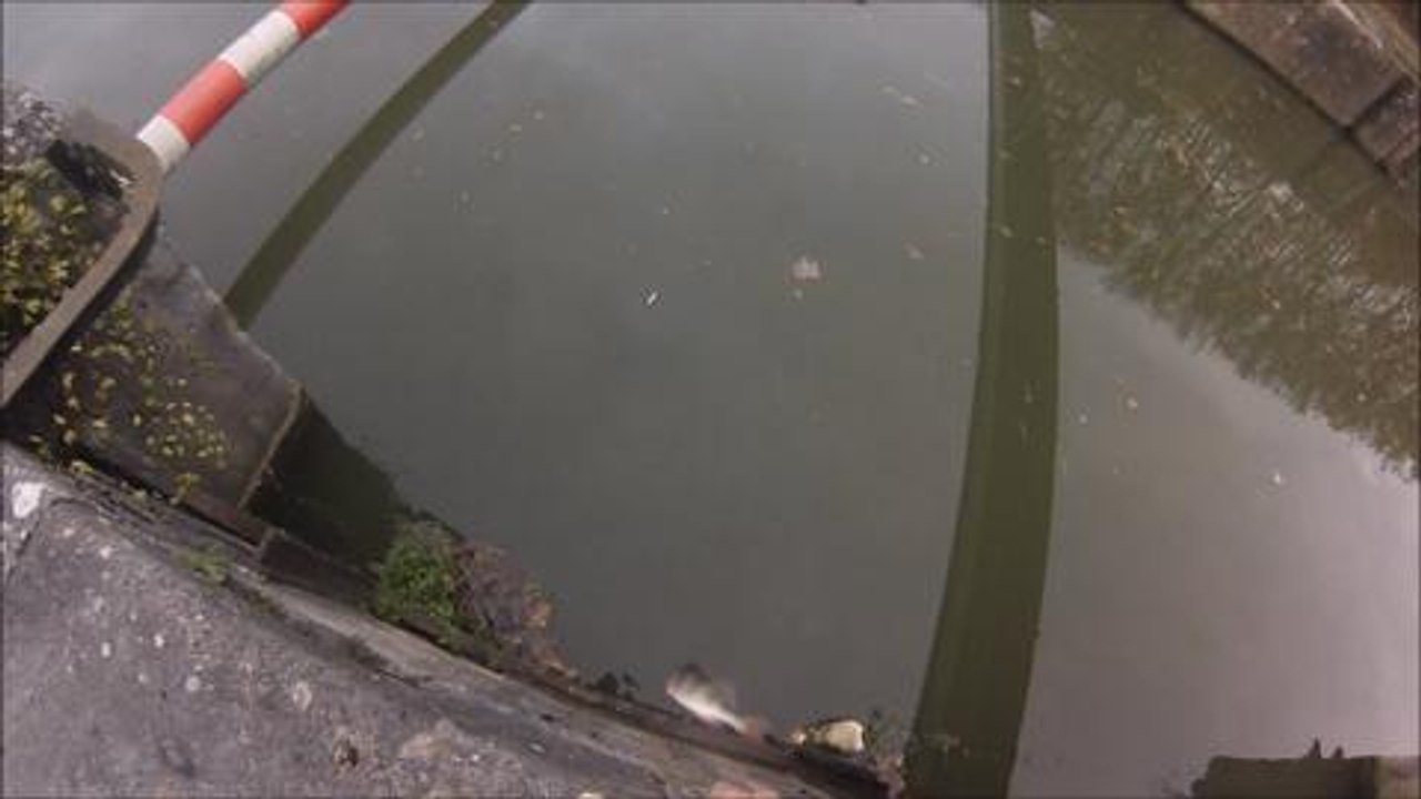 Petite pêche entre amis
