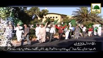 Dawateislami Ke Tahat South Africa, Cap Town Me Hone Wale Jaloos-e-Milad Ke Manazir