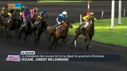 Roxane, jument millionnaire