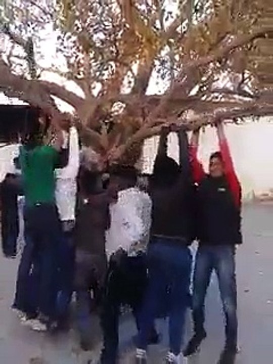 Funny Videos