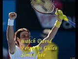 watch aussie David Ferrer vs Gilles Simon live tennis