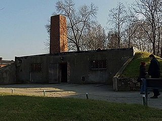 Ужасы «Освенцима» вспоминает его бывшая узница