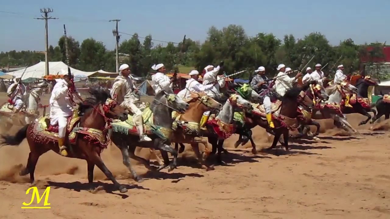 Maroc paysage 4 : Tbourida (Fantasia) * Sidi Yahya El Gharb *