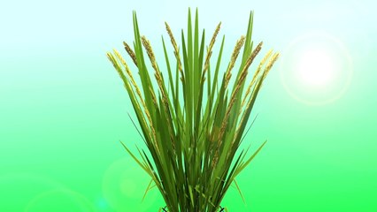 Công ty sản xuất tvc quảng cáo 3d