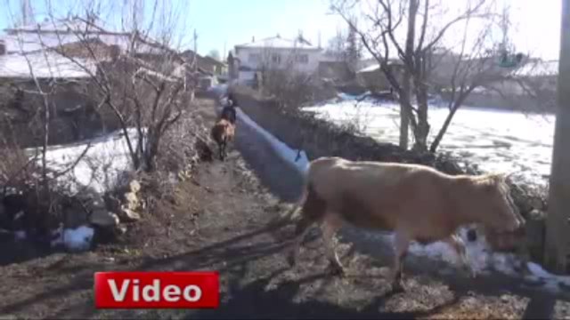 Köylülerin Su İsyanı!