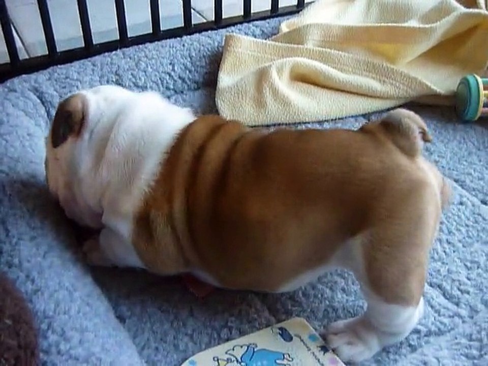 Pendant que mon frère dort ! moi je m'éclate