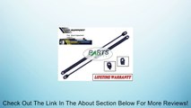 2 Pieces (SET) Hood Lift Supports 1992 To 1999 BMW 318i E36 / 1992 To 1997 318is E36 / 1995 To 1999 318ti Compact E36 / 1998 323i E36 / 1998 323is E36 / 1992 To 1995 325 E36 / 1992 To 1995 325i E36 / 1992 To 1995 325is E36 / 1996 To 1998 328i E36 / 1996 T