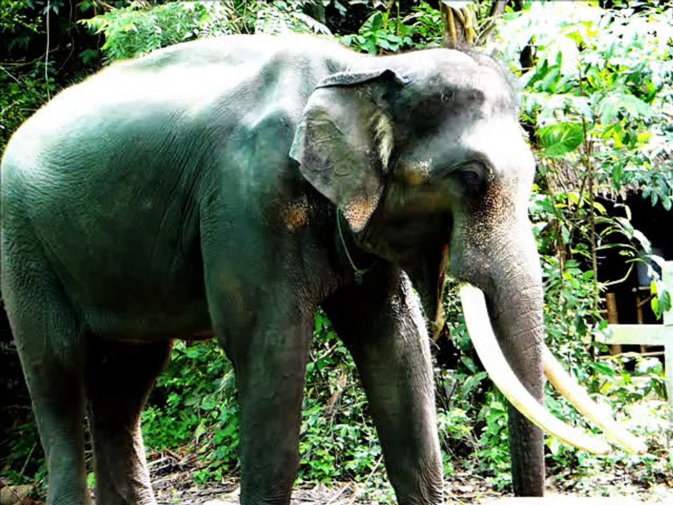 2014-07-08 - Koh Samui