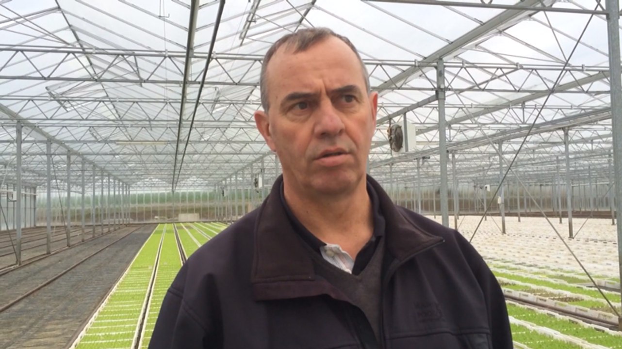 100 millions de plants poussent sous les serres...