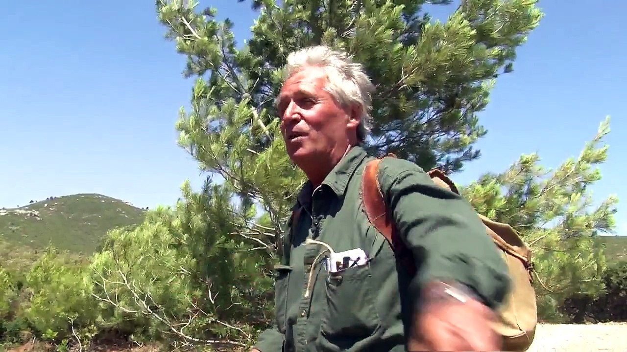 Idée de Balade : Palama La Nègre