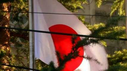 Mother of journalist held by IS pleads for his release