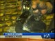 Policía decomisa 77 kilos de cocaína camuflados en zapatillas