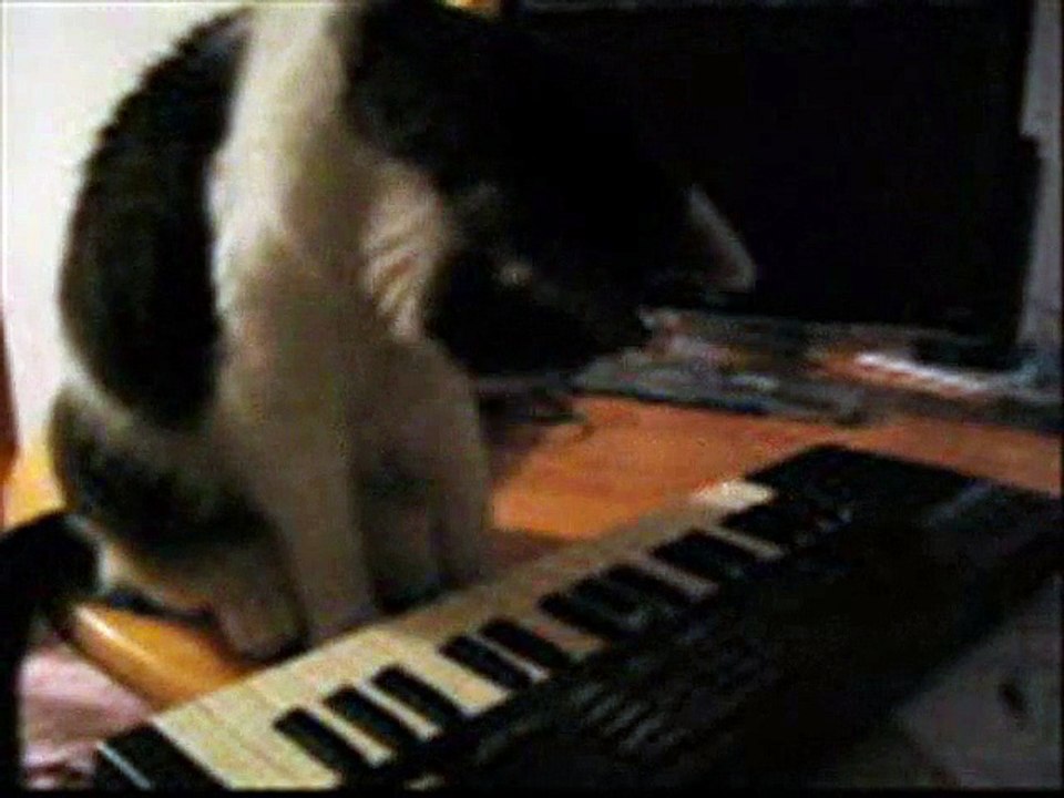 Chloe Plays Van Halen / Video by Robert Segarra