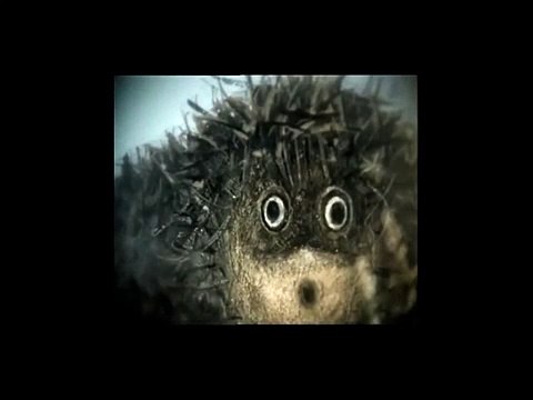 Это первый день твоей НОВОЙ жизни - Реклама вооруженных сил РФ