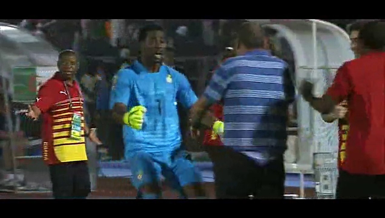Goal Gyan - Ghana 1-0 Algeria - 23-01-2015 Africa Cup of Nations