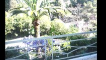 Location Vide - Appartement Cannes (Montfleury) - 700   60 € / Mois