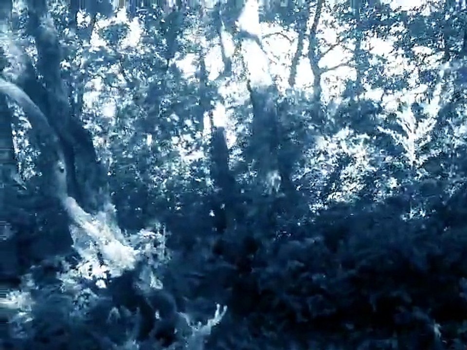 Entraînement au parc