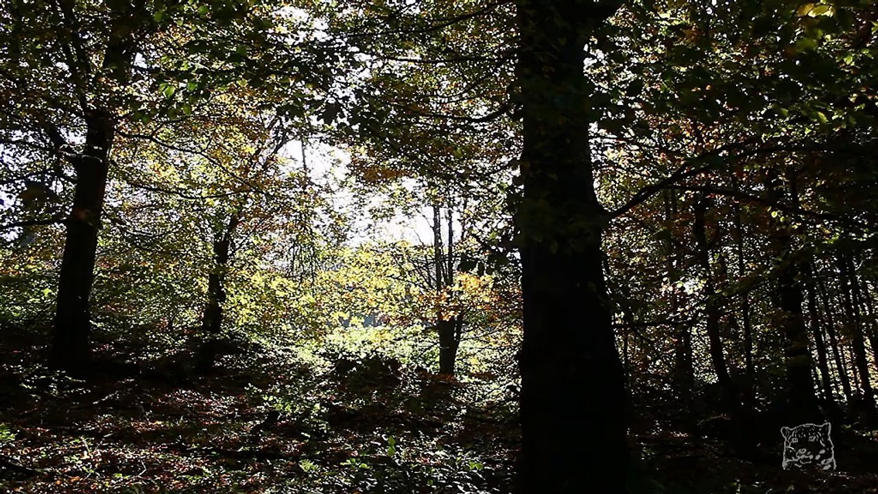 Bieszczady 8