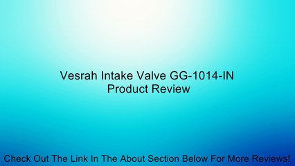 Vesrah Intake Valve GG-1014-IN Review