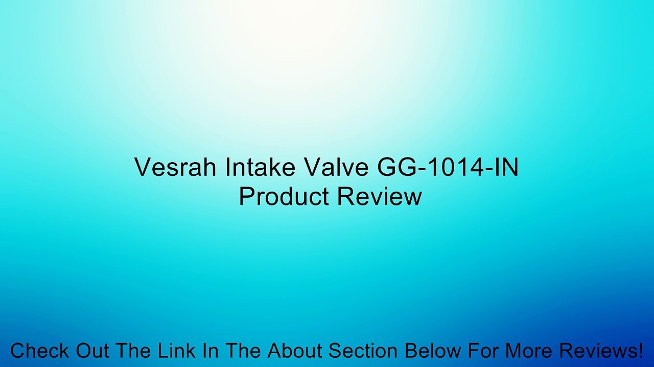 Vesrah Intake Valve GG-1014-IN Review
