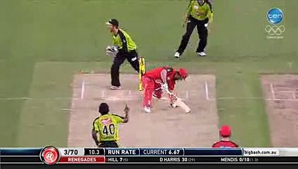 Carters stumps Hill clever stumps