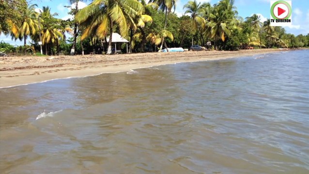 Guadeloupe | Les Antilles apres la Route du Rhum - Bretagne Télé Caraïbes