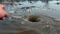 Un vortex aquatique qui aspire tout sur son passage