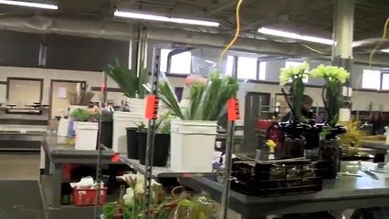 Four Seasons Boston - Discussing Floral Arrangements and Wedding Color Combinations