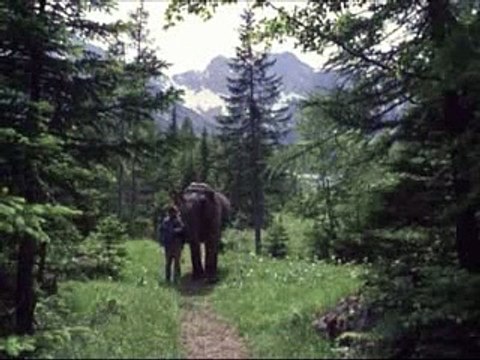 Kamptan Kaçış - Fragman