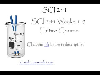 SCI 241 Week 1 CheckPoint Food Diary