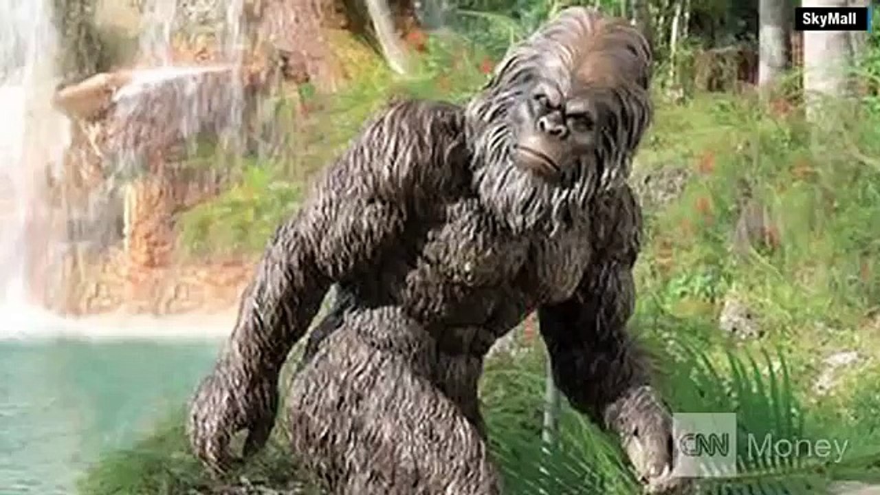 SkyMall best buys! NOT