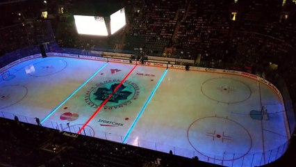 Projection sur glace lors d’un match de hockey