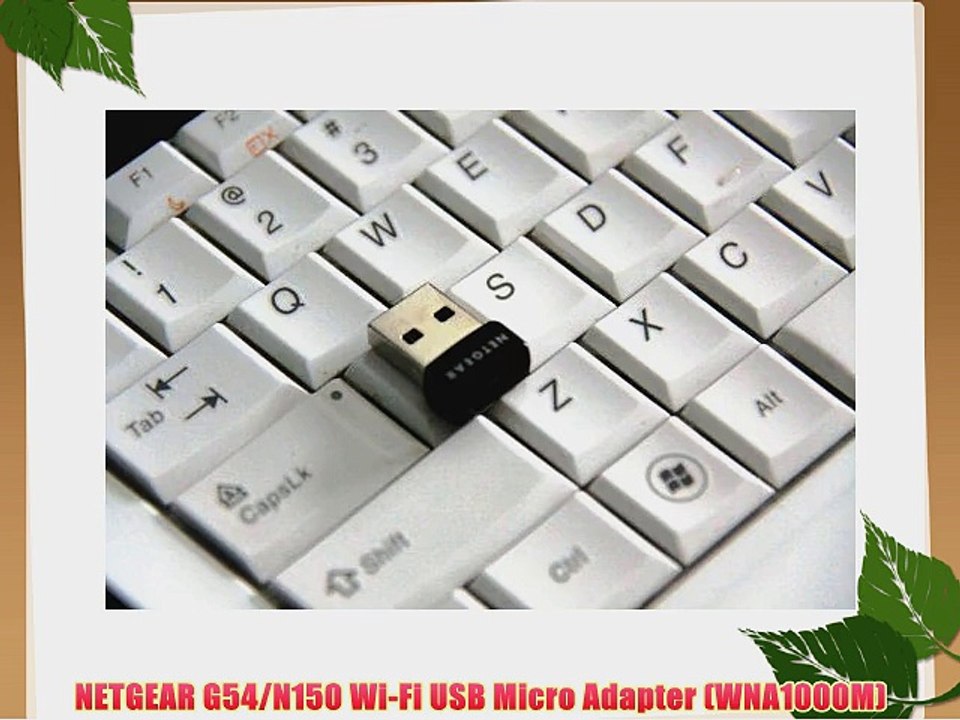 NETGEAR G54/N150 Wi-Fi USB Micro Adapter (WNA1000M)