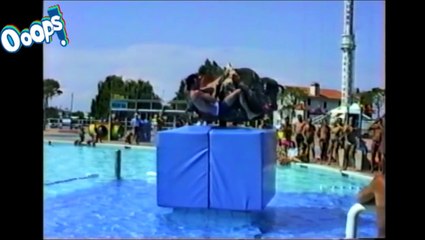 Funny Videos Fail Compilation 2014 Best Funny Fail Videos & New Funny Home Videos 2014