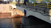 Un homme sauve un chien coincé