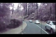 Des arbres chutent sur une route